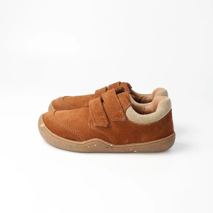 eidechsenSTYLE haselnuss | bLIFESTYLE