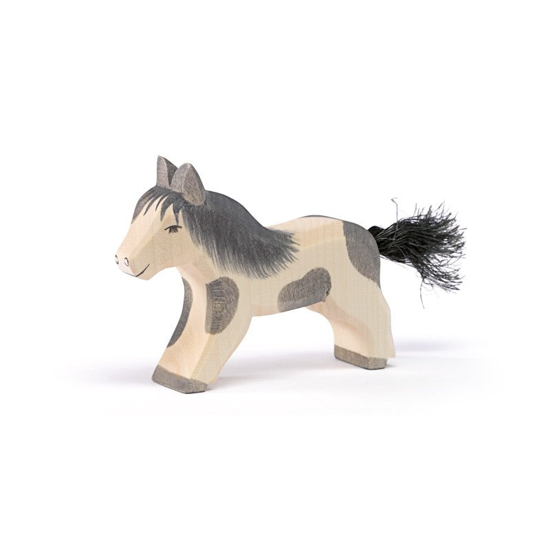 Shetland Pony. laufend | Ostheimer