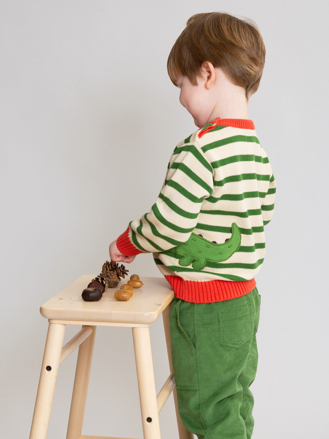 Kite Kinder-Strickpullover „Cleveres Kroko“ (Bio-Baumwolle)