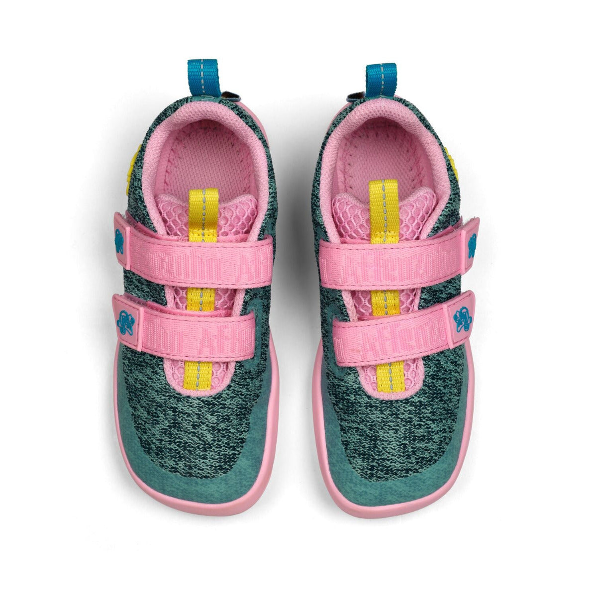 Affenzahn Barfuß-Sneaker für schmale Füße, Modell Chamäleon in türkis und rosa, Ansicht von oben