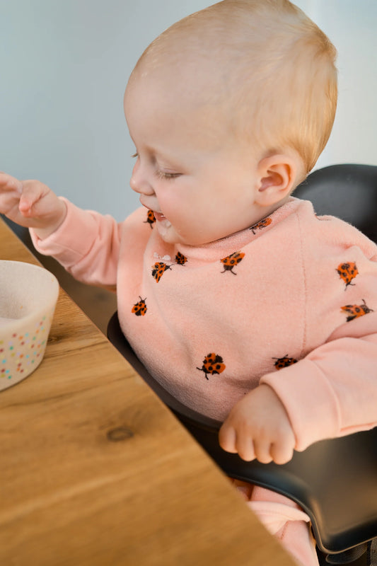 Lätzchen Frottee. Love Bugs. wasserdicht | Little Casimir